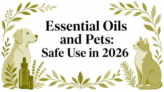 Essential Oils and Pets: Safe Use in 2026