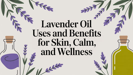 Lavender Oil: A Guide to Its Uses and Benefits for Natural Wellness